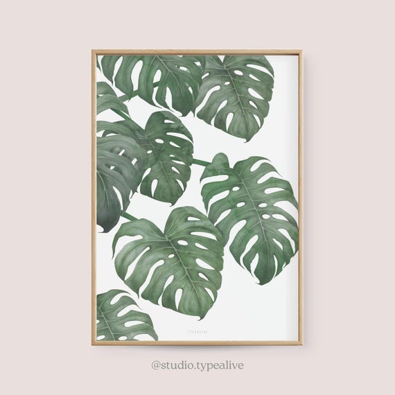 ichthus philodendron Buy Heartleaf Pothos, Philodendron, in Cairo, Egypt