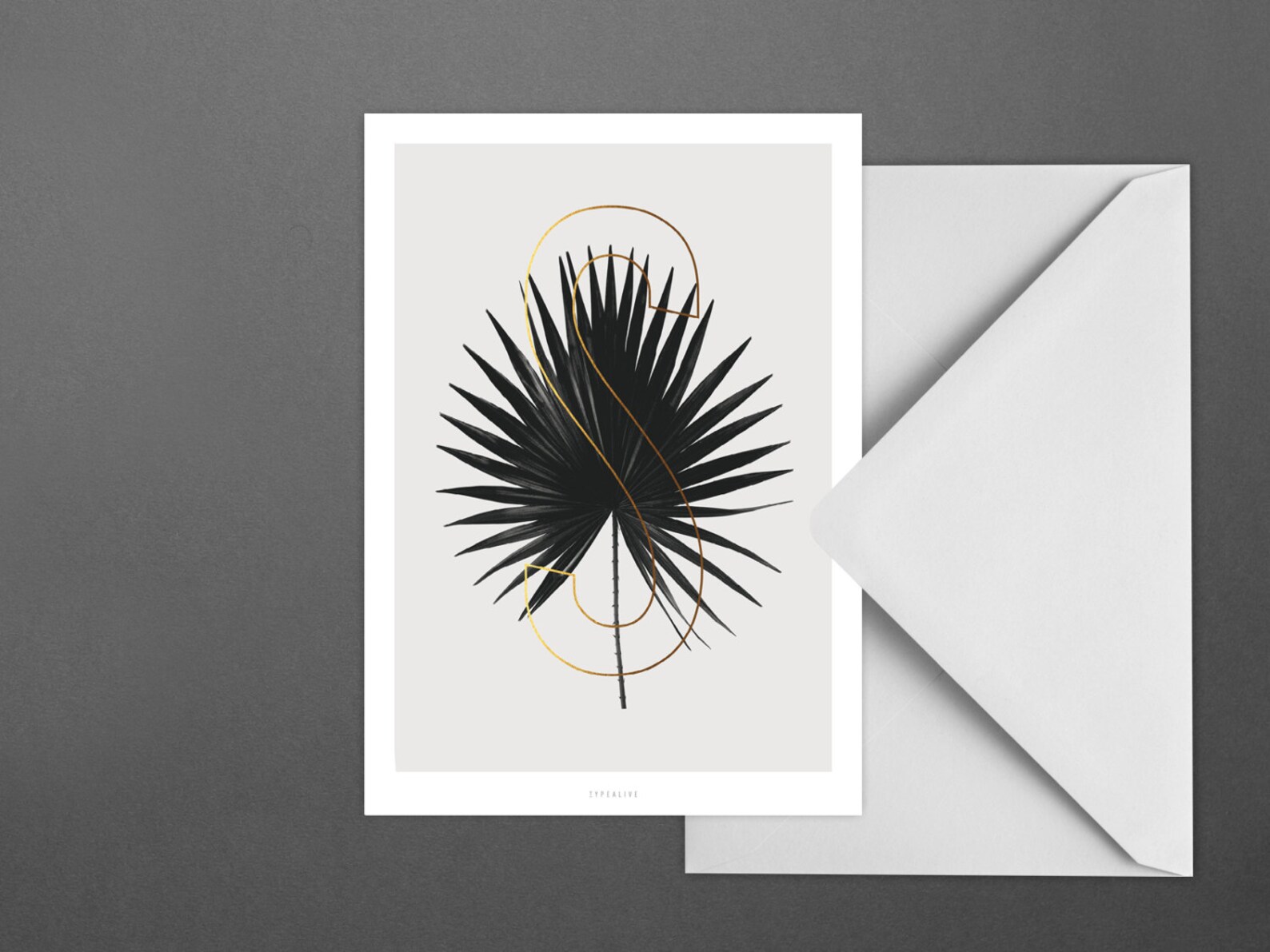 Postkarte ABC Plants S / Typography Letter Card Postcard Etsy