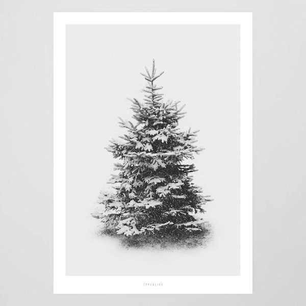 Schneetanne No. 1 / Winter, Schnee, Fine Art-Print, Wall-Art, Minimal Poster Art, Typography Art, Premium Poster, Kunstdruck Poster