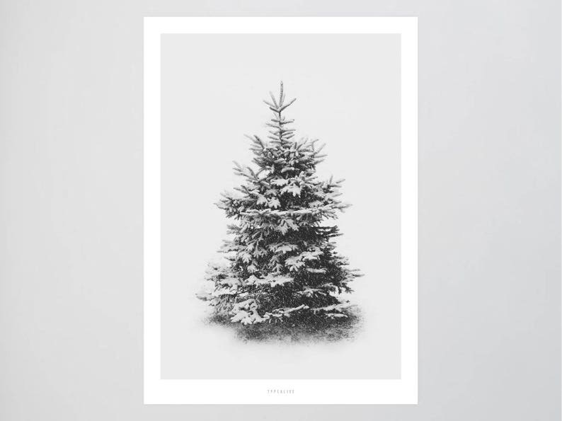 Snow Fir No. 1 / Hiver, Neige, Fine Art-Print, Wall-Art, Minimal Poster Art, Typography Art, Premium Poster, Art Print Poster image 1