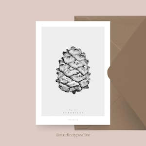 Carte de Noël / CONES DE PIN NO. 1/ Carte de Noël simple et belle - carte de voeux pour l'Avent pour la famille, les amis et les collègues