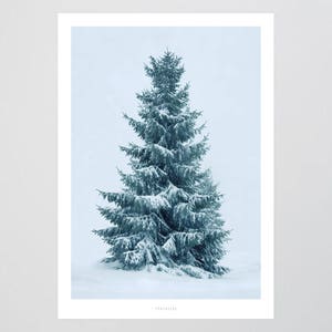 Poster mural / Snowy fir No. 2 / Winter, snow, living room decoration, housewarming gift, art print, as a gift