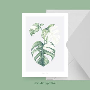 Carte pour diverses occasions / TROPCIAL NO. 5 / Carte postale pour de nombreuses occasions avec Monstera – comme salutation tropicale, invitation pour les amis et la famille