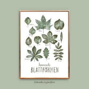 Poster wall picture / LEAF SHAPES NO. 1 / educational poster with leaves, nature lovers, living room decoration, housewarming gift, art print, as a gift