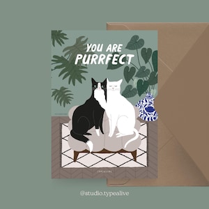 Carte d'anniversaire / Pétisfaction « Chats » YOU ARE PURRFECT / Set de cartes postales chat, carte d'anniversaire amusante avec chat, carte postale pour les fans de chats