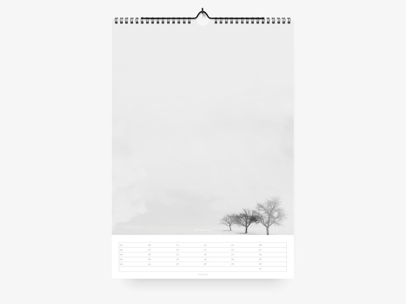 Wall calendar / LANDSCAPES / DIN A3, landscapes, black and white, simple and Scandinavian, as a gift for birthday and Christmas image 3