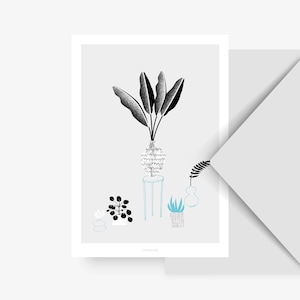 Carte pour diverses occasions / LES PLANTES / carte postale pour de nombreuses occasions - comme salutation ou invitation pour les amis et la famille, plantes, branches
