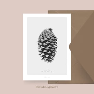 Carte de Noël / CONES DE PIN NO. 2/ Carte de Noël simple et belle - carte de voeux pour l'Avent pour la famille, les amis et les collègues