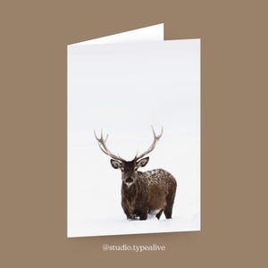 Grußkarte zu Weihnachten / DEER NO. 2 / Weihnachtskarten Set mit Umschlag, winterlicher Hirsch, Klappkarte zu Weihnachten, für Mama oder Oma