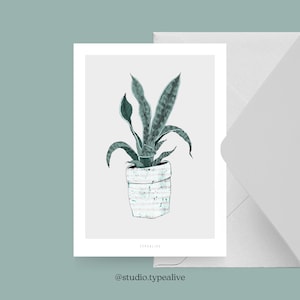 Carte pour diverses occasions / WALLPLANT NO. 2 / Carte postale pour de nombreuses occasions - comme salutation ou invitation pour les amis et la famille, plante verte