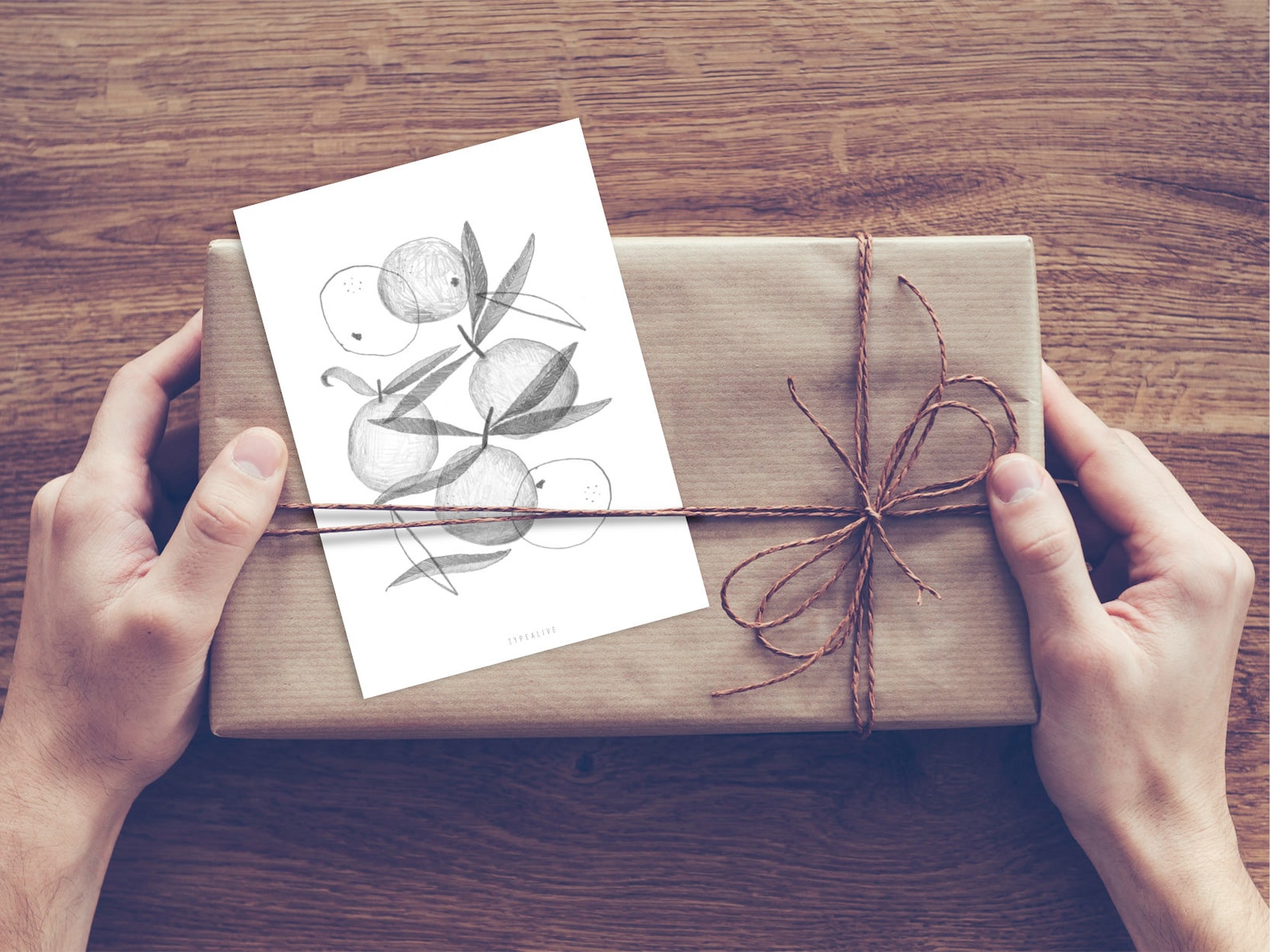 Christmas Card / CLEMENTINES / Beautiful Postcard for Etsy