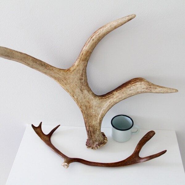 Christmas Offer 30% Off! Original Extra Large Finnish Lapland Reindeer Antlers-Genuine Antler Rustic Decor-Buck Deer Hunting Gifts-Elegant!