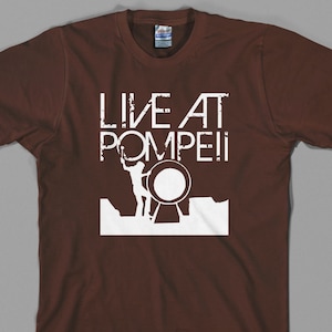 Live at Pompeii T Shirt, the wall syd barrett david gilmour roger waters dark side moon Graphic Tee, All Sizes/Colors