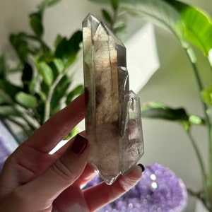4.6” VERY RARE Double Terminated Dauphine Twin Smoky Quartz with Baby Crystal DT and Record Keepers - New Find - Northern Cape, South Africa