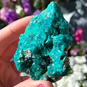 Dioptase vive - Congo