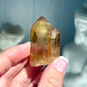 以下が含まれることがあります： 手は2つの黄金色の黄水晶の結晶を持っています。結晶は先が尖った多面的な形状で、わずかに半透明に見えます。結晶は温かみのある琥珀色で、背景はぼやけています。