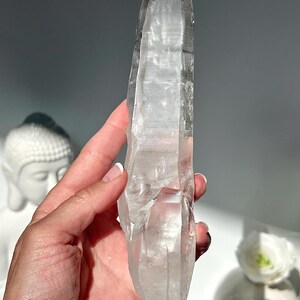 8.1” RARE Starbrary Quartz Wand with Companion Crystal and Imprint - Diamantina Mine, Brazil