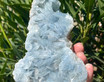 Baby Blue Barite Cluster - Spain