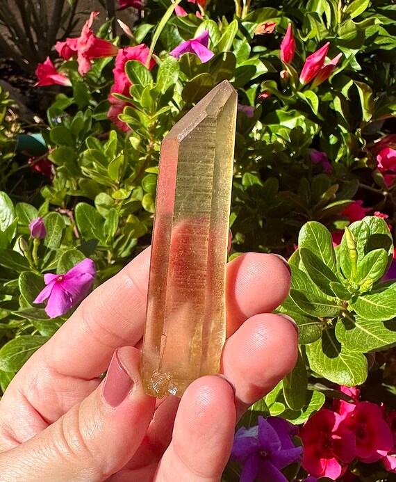 2.8” RARE Raw Natural Citrine Point Shaba Zaire -… - image 10