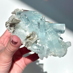 May include: A cluster of aquamarine crystals, showcasing a pale blue hue, with a matrix of silvery-gray mica. The crystals are translucent and have a natural, raw appearance. The mineral specimen is held in a hand.