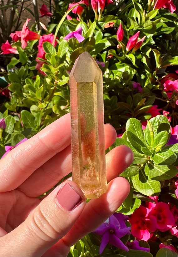 2.8” RARE Raw Natural Citrine Point Shaba Zaire -… - image 4