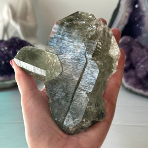 4.9” RARE Elestial Himalayan Quartz Formation  with Chlorite Inclusion - Kullu Valley