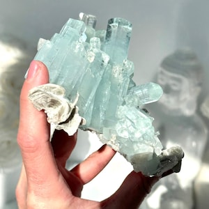 May include: A cluster of aquamarine crystals, exhibiting a pale blue hue, is held in a hand. The crystals have a prismatic structure, with a rough, textured surface. The base of the cluster features a light-colored, flaky mineral.