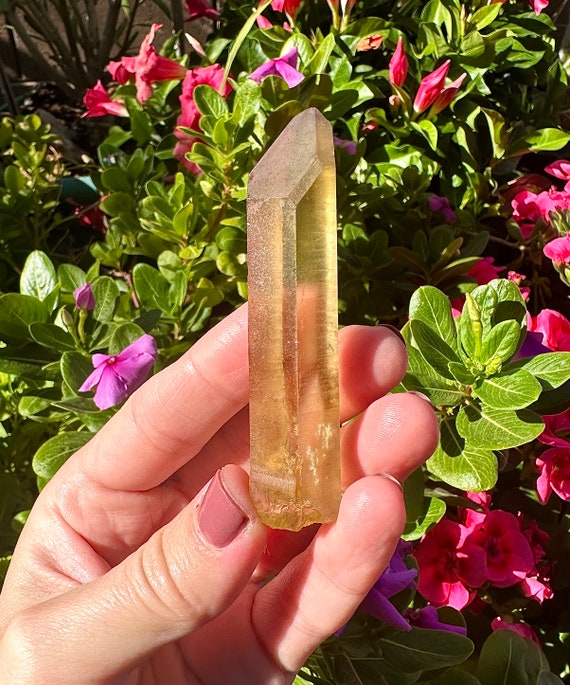 2.8” RARE Raw Natural Citrine Point Shaba Zaire -… - image 7