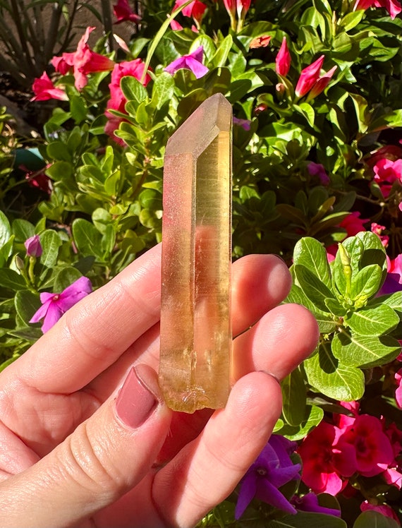 2.8” RARE Raw Natural Citrine Point Shaba Zaire -… - image 5