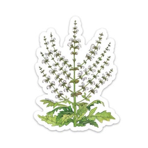 Menorah Jerusalem Sage Vinyl Sticker, Watercolor Botanical Illustration image 1
