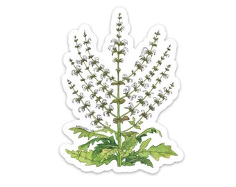 Menorah Jerusalem Sage Vinyl Sticker, Watercolor Botanical Illustration