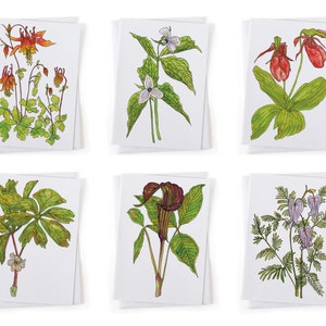 NEW: Set of 6 Spring Ephemeral Wildflower Botanical Illustration Cards, Native Plants, Sustainably Printed Recycled Stationery