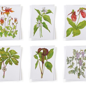 Puede incluir: Conjunto de seis tarjetas de notas bot&aacute;nicas ilustradas con diferentes flores silvestres, incluyendo una colombina roja y blanca, una trillium blanca, una zapatilla de dama rosa, un arum verde y marr&oacute;n, un jengibre silvestre blanco y verde y un coraz&oacute;n sangrante morado.