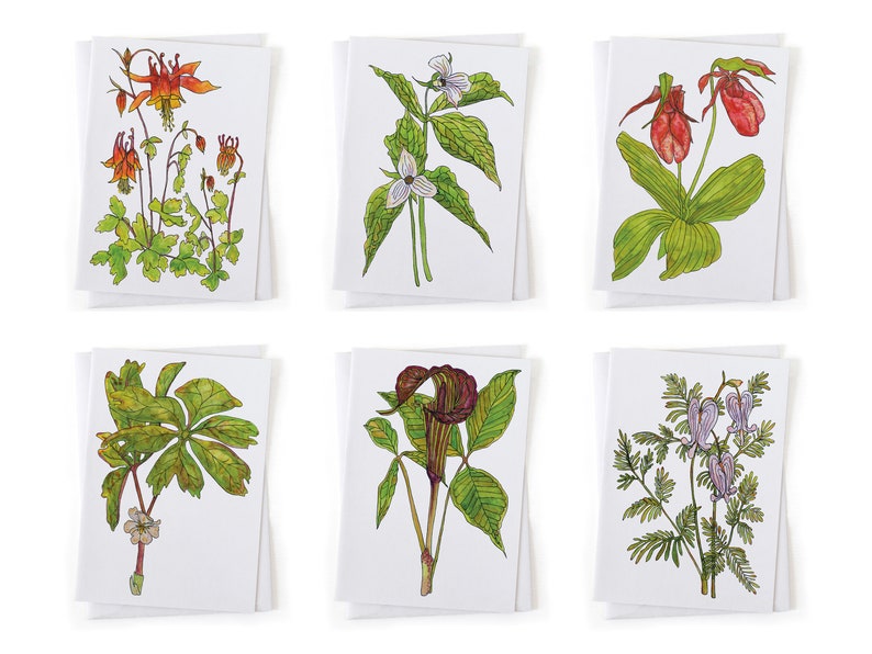 Puede incluir: Conjunto de seis tarjetas de notas bot&aacute;nicas ilustradas con diferentes flores silvestres, incluyendo una colombina roja y blanca, una trillium blanca, una zapatilla de dama rosa, un arum verde y marr&oacute;n, un jengibre silvestre blanco y verde y un coraz&oacute;n sangrante morado.
