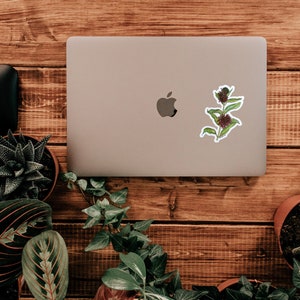 K&ouml;nnte beinhalten: Ein Aufkleber mit einer botanischen Illustration einer Pflanze mit burgunderfarbenen Bl&uuml;tenk&ouml;pfen und gr&uuml;nen Bl&auml;ttern. Der Aufkleber befindet sich auf einem silbernen Laptop, umgeben von Topfpflanzen auf einer Holzoberfl&auml;che. Der Aufkleber hat einen wei&szlig;en Rand.