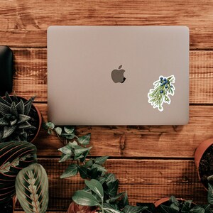 May include: A laptop computer with a sticker of a green sprig of juniper with blue berries on a wooden surface.