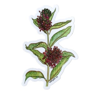 K&ouml;nnte beinhalten: Ein Aufkleber mit einer Aquarellillustration einer Seidenpflanze. Die Pflanze hat gr&uuml;ne Bl&auml;tter und B&uuml;schel kleiner, rot-violetter Bl&uuml;ten. Der Aufkleber hat einen wei&szlig;en Rand und die Website wandergather.com ist unten aufgedruckt.
