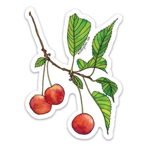 Cherry Fruit Tree Vinyl Sticker, Cute Watercolor Botanical Illustration image 1