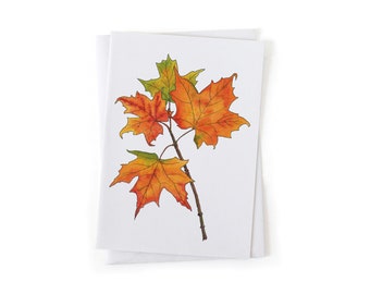NEW: Sugar Maple Fall Leaves Tree Botanical Illustration Card, Native Plants, Sustainably Printed Recycled Stationery