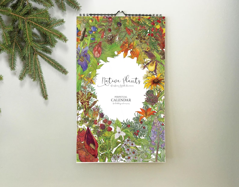 May include: A spiral-bound calendar featuring a colorful botanical illustration of native plants. The calendar has a white central space with the words "Native Plants" and "Perpetual Calendar". The calendar is decorated with various flowers, leaves, and berries.