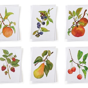 NEW: Set of 6 Orchard Fruits Botanical Illustration Cards, Farm Garden, Sustainably Printed Recycled Stationery