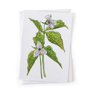 Puede incluir: Una ilustraci&oacute;n de acuarela de una flor de trillium blanca con hojas verdes sobre un fondo blanco.