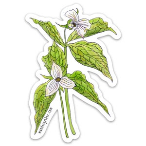 Trillium Wildflower Flower Plant Vinyl Sticker, Botanical Watercolor Illustration