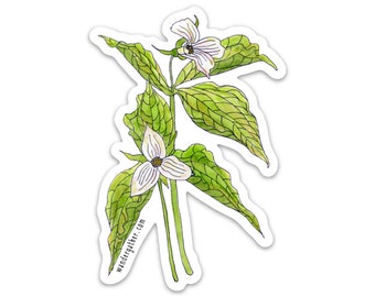 Trillium Wildflower Flower Plant Vinyl Sticker, Botanical Watercolor Illustration