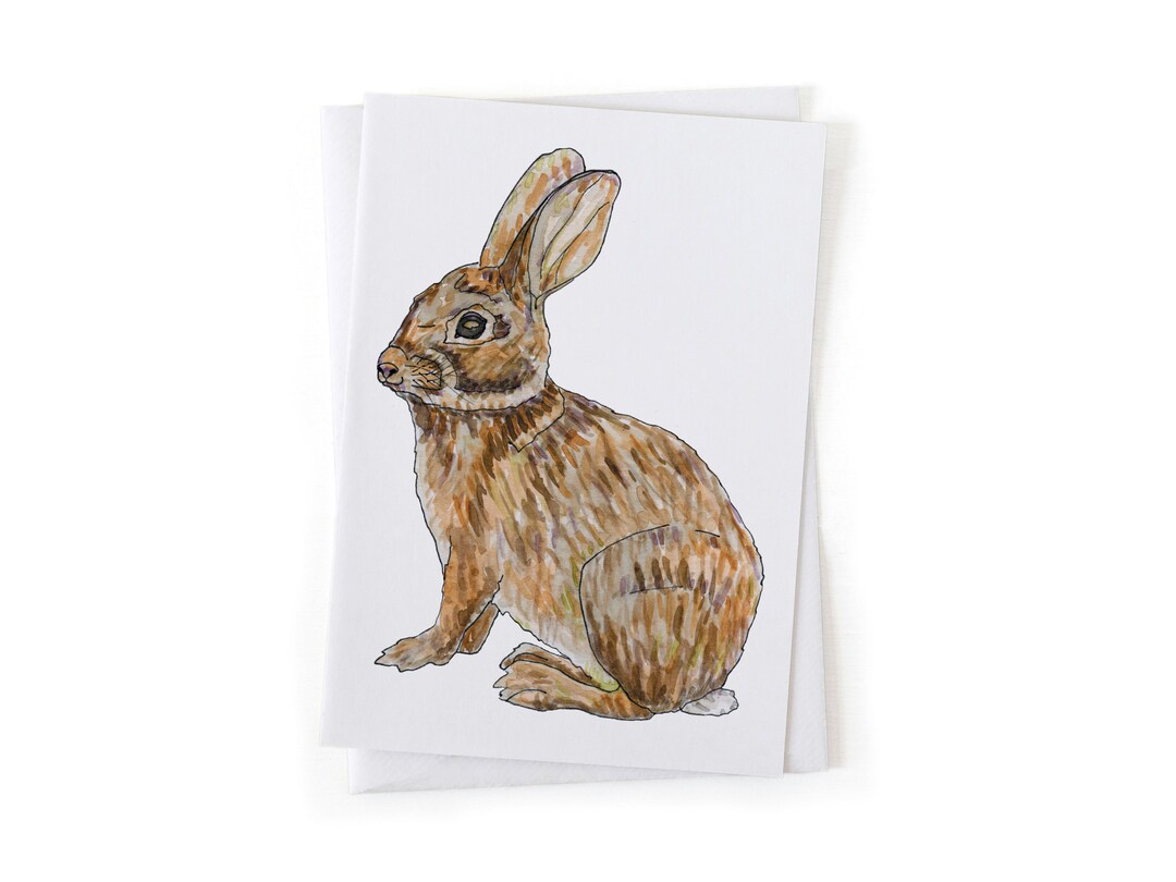 Cottontail Rabbit Card NEW: Eastern Cottontail Rabbit Woodland Animal Illustration Card ...