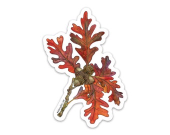 Oak Tree Fall Leaves Vinyl Sticker, Cute Watercolor Botanical Illustration