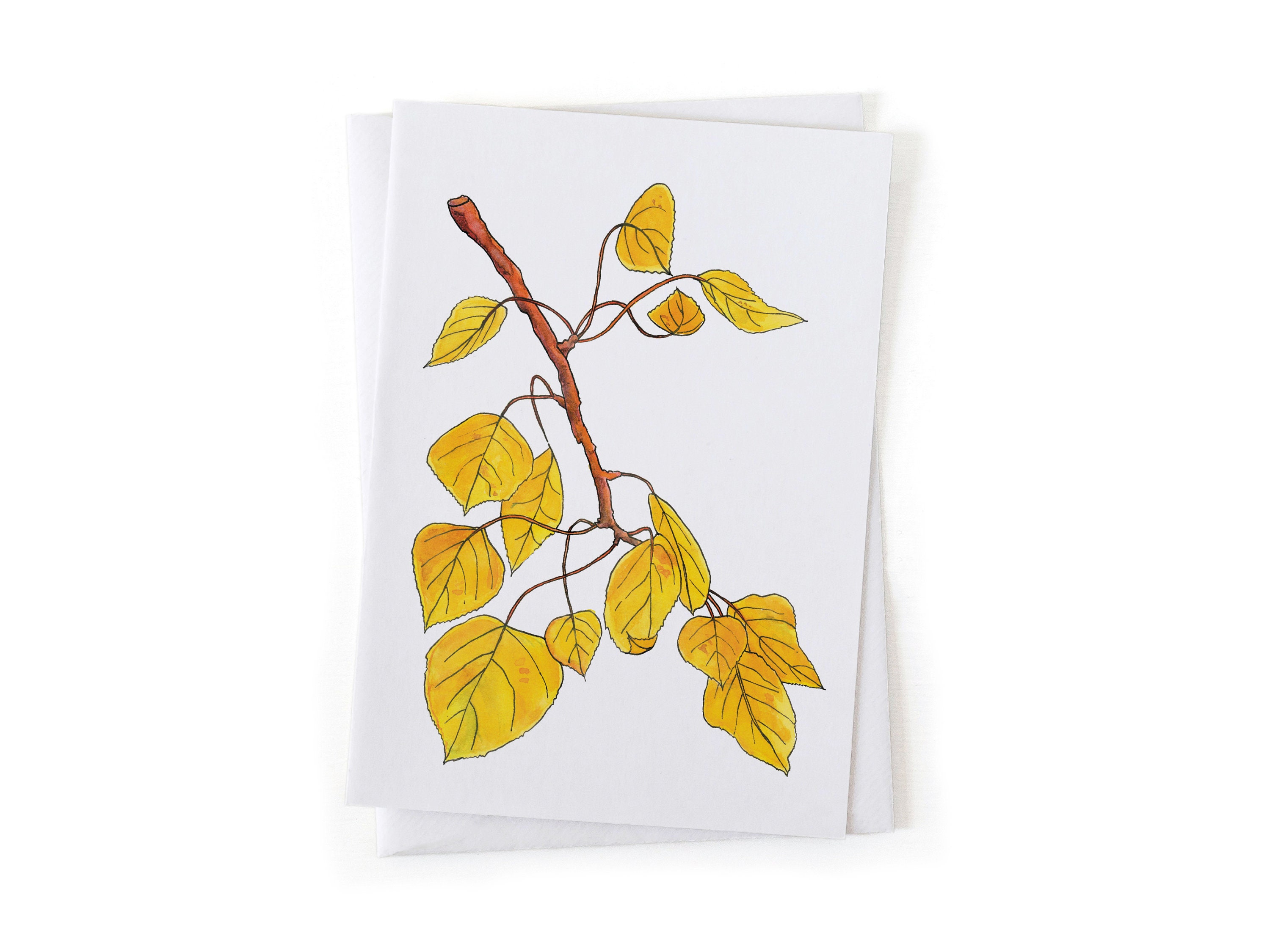 NEW: Quaking Aspen Tree Fall Leaves Tree Botanical Illustration Card, Native Plants, Sustainably Printed Recycled Stationery