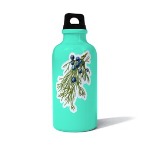 May include: A turquoise water bottle with a black lid and a sticker of a green juniper branch with blue berries.