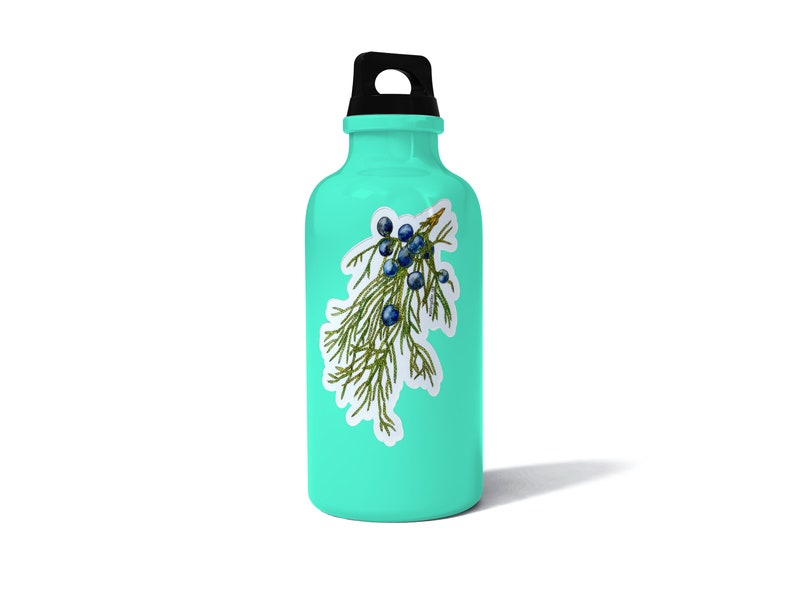 May include: A turquoise water bottle with a black lid and a sticker of a green juniper branch with blue berries.