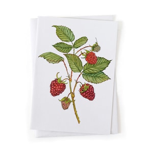 May include: A watercolor illustration of a raspberry branch with green leaves and red raspberries. The branch is drawn in a realistic style with fine details.